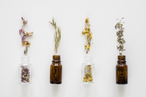 Bilan Naturopathie